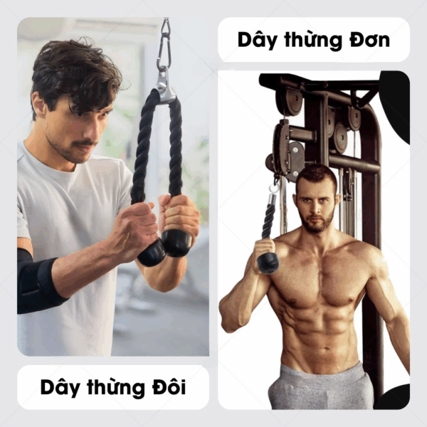 Dây Thừng Kéo Xô Tập Cơ - Ảnh 7